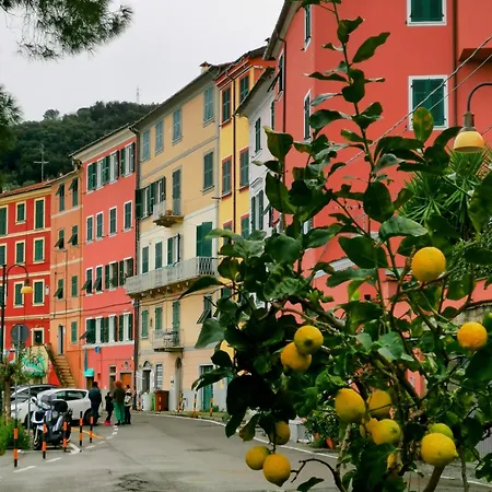 Appartamento La Brezza Marina Fezzano (Liguria)